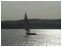 Fellucca on Lake Nasser, Egypt